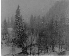 Михайло, народився в с. Хросне, Львівської області, був виселений з родиною в Сибір