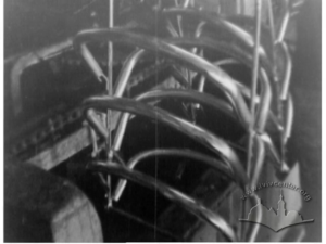 Роман, розповідає про гальванічні та термічні цехи