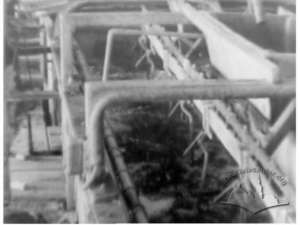 Елеонора, розповідає про витік кислоти в гальванічному цеху