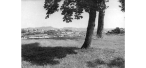 Володимир, народився в с. Завидовичі, Львівської області, де пройшло його дитинство