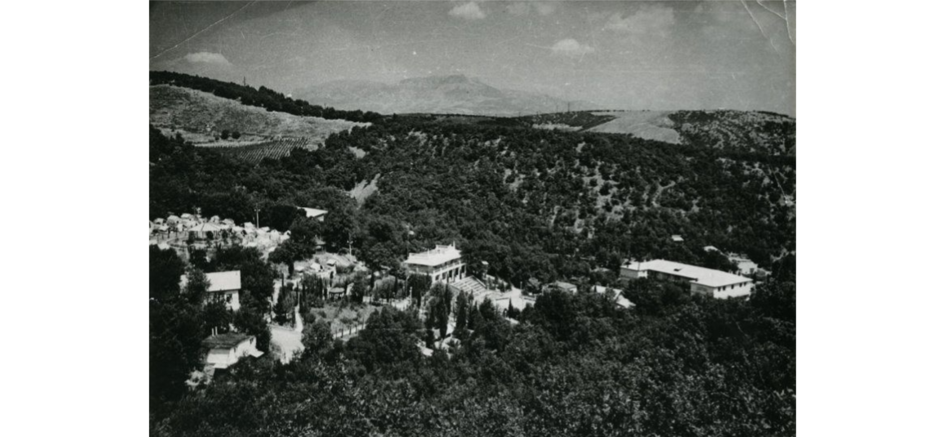 Соціальна сфера